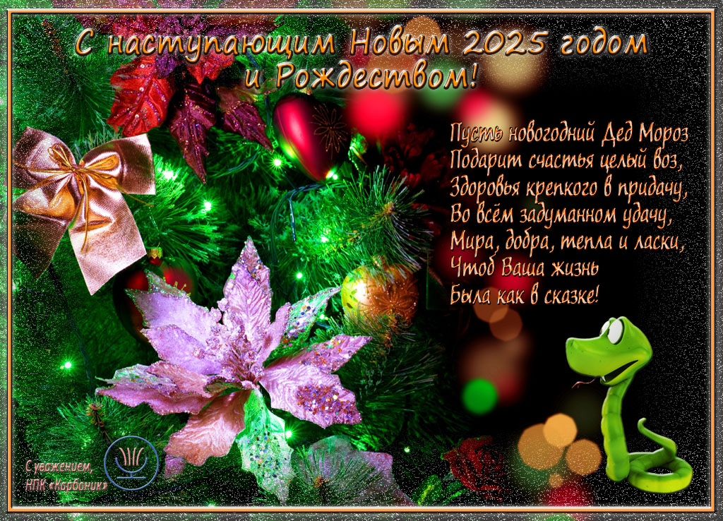 НГ.jpg